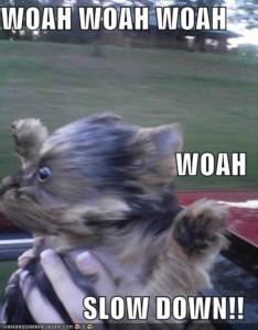 Rate limiter, ou comment ne pas aller trop vite